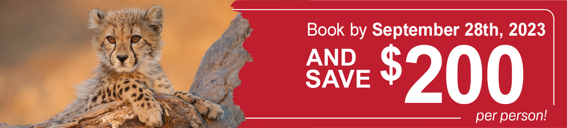 Book early & save