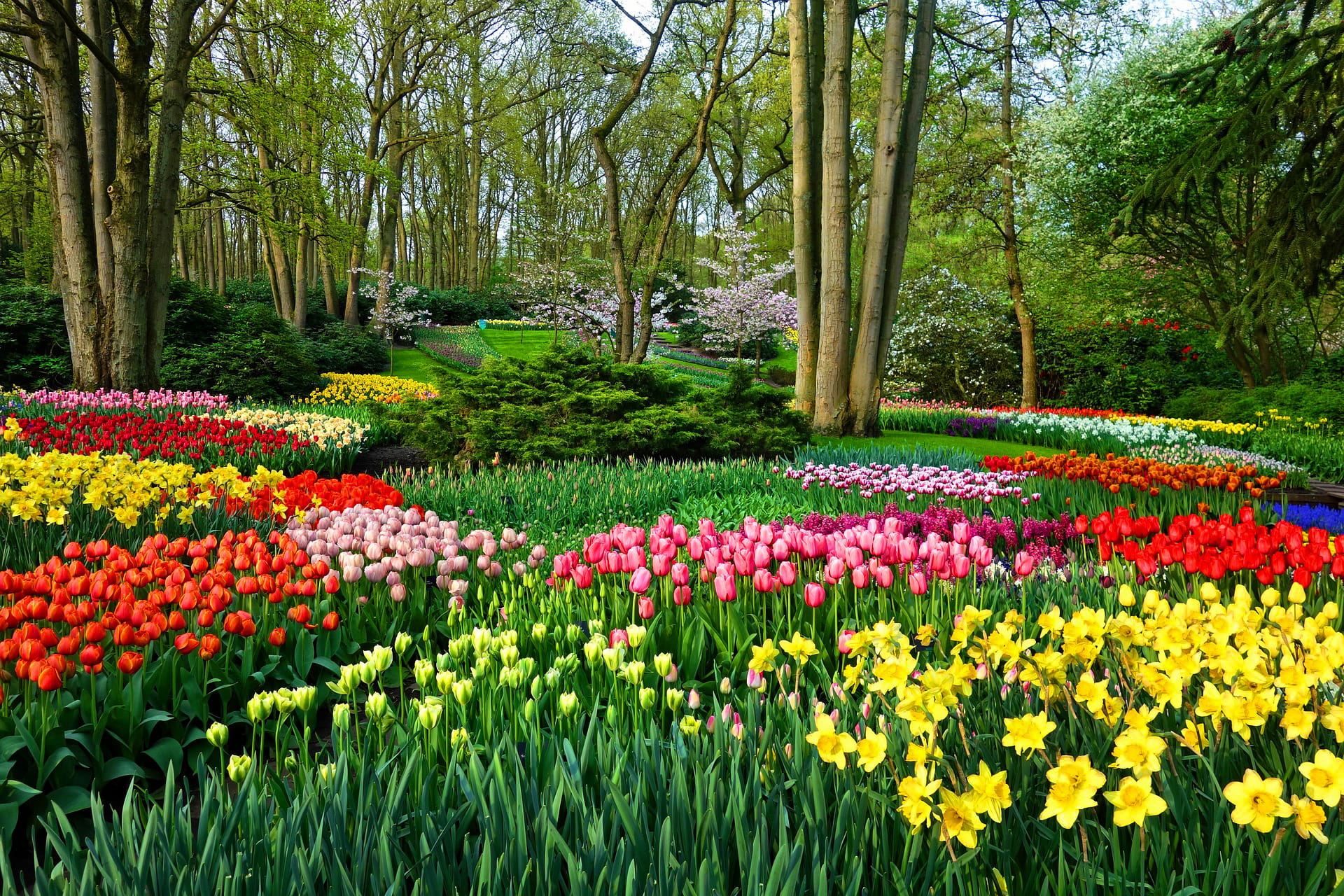 Keukenhof Gardens