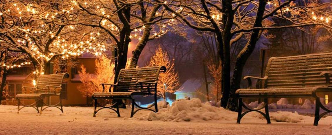 Three benches covered with snow surrounded by trees with white Christmas lights at night