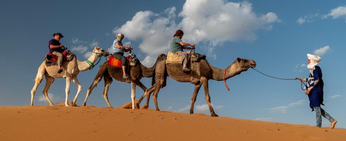 Enjoy a camel ride in the Sahara. 