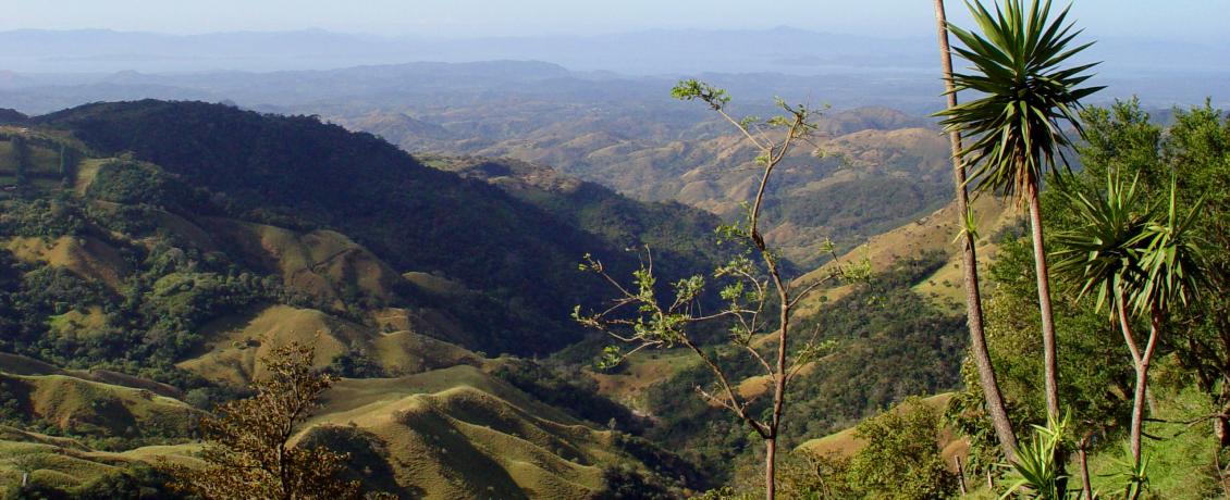 Monteverde