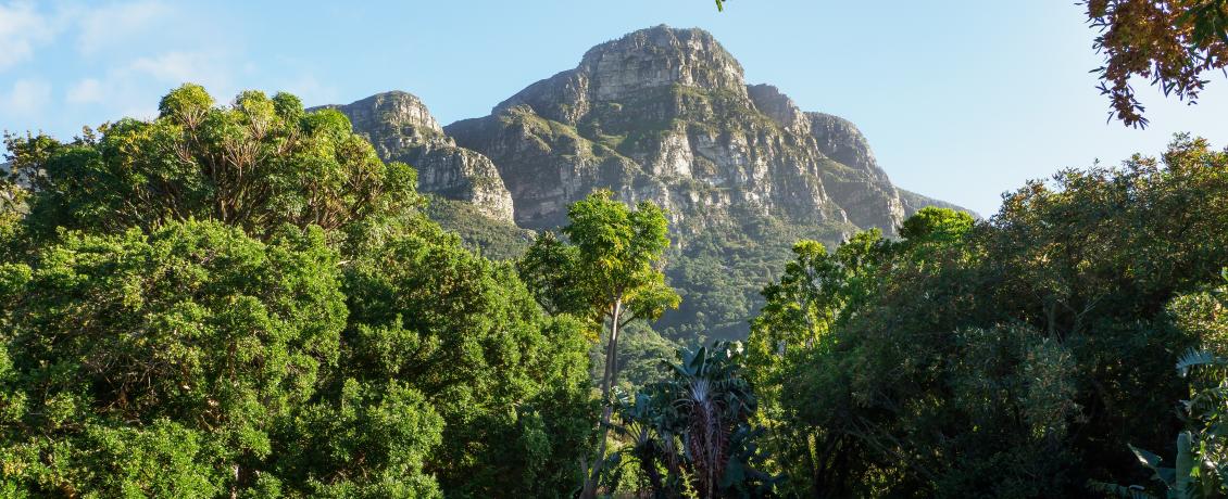 Kirstenbosch Botanical Gardens