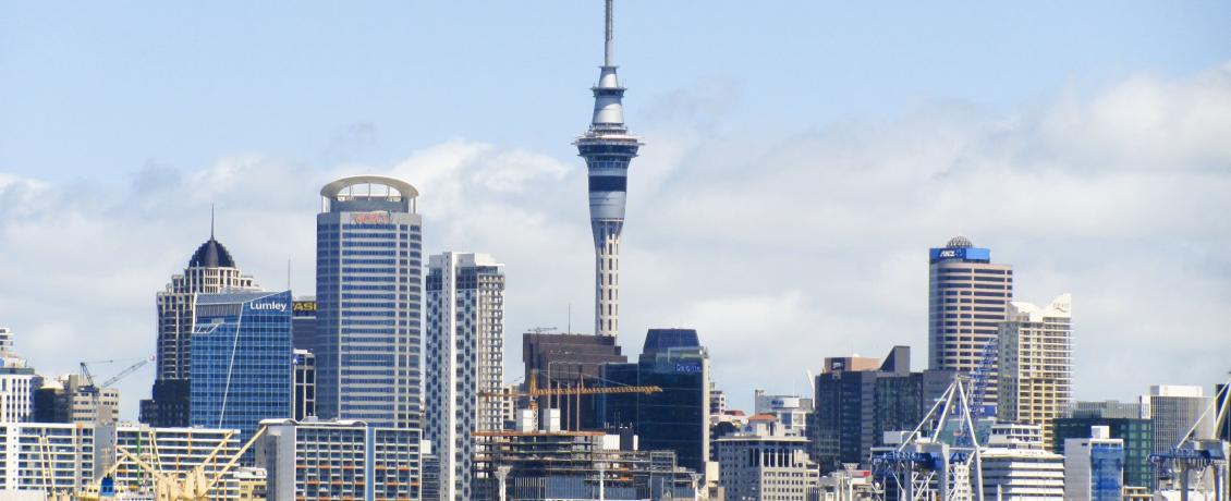 Auckland Skyline