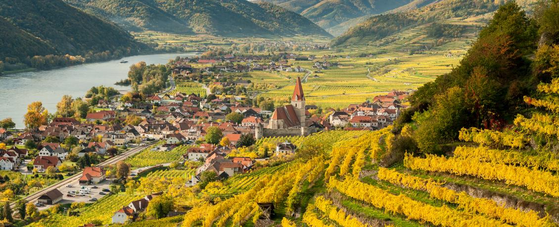 Savour world-famous wines in Weissenkirchen, Austria
