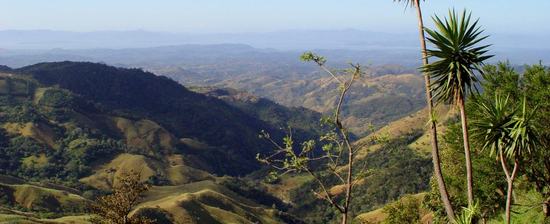 Monteverde