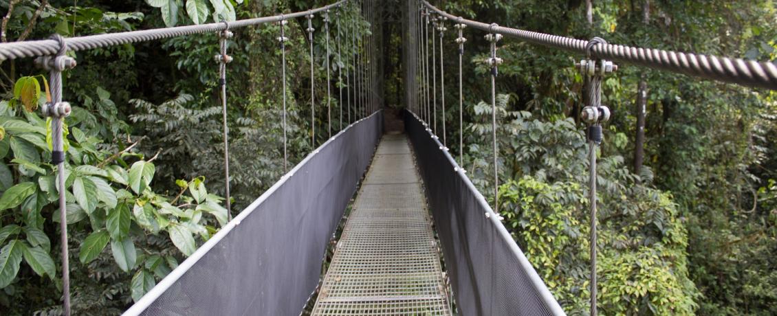 Monteverde's hanging bridges