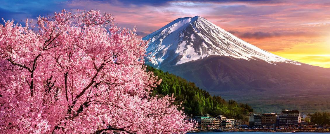 Mt Fuji