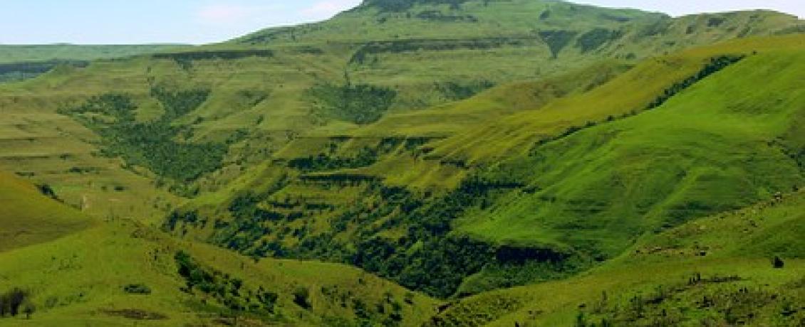 Green Hills in Zululand