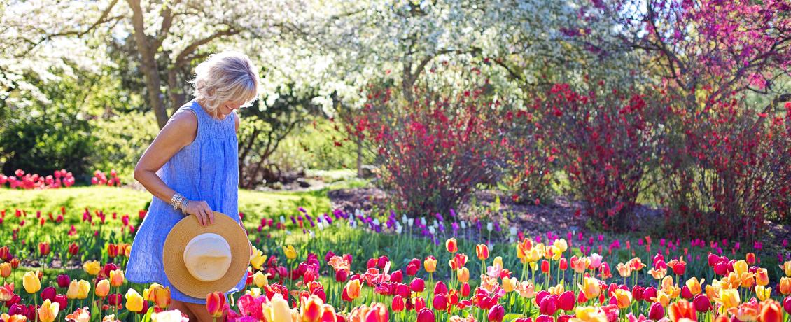 Lady holding a hat in a colourful tulip field