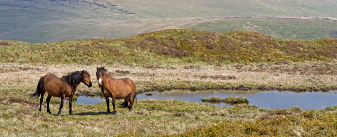 Brecon Beacons National Park