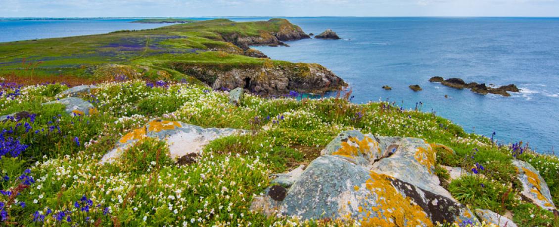 Stunning shorelines in Ireland