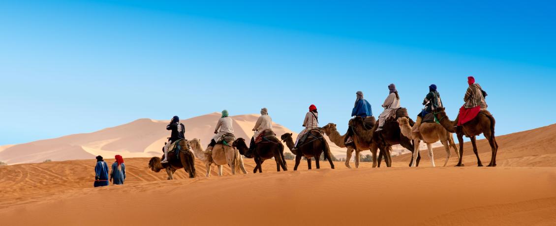 People riding camels in the Sahara desert