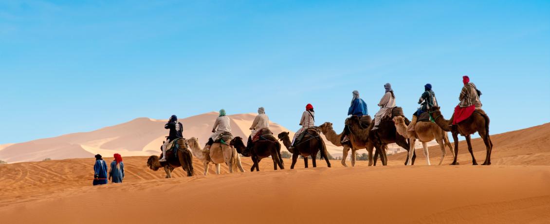People riding camels in the Sahara desert