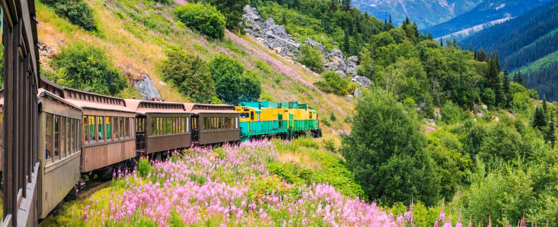 A train chugs up a mountain side along the narrow White Pass and Yukon Route railroad tracks. Pine forests and rugged peaks provide a dramatic wilderness backdrop