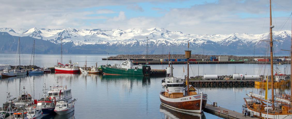 Harbour in Iceland