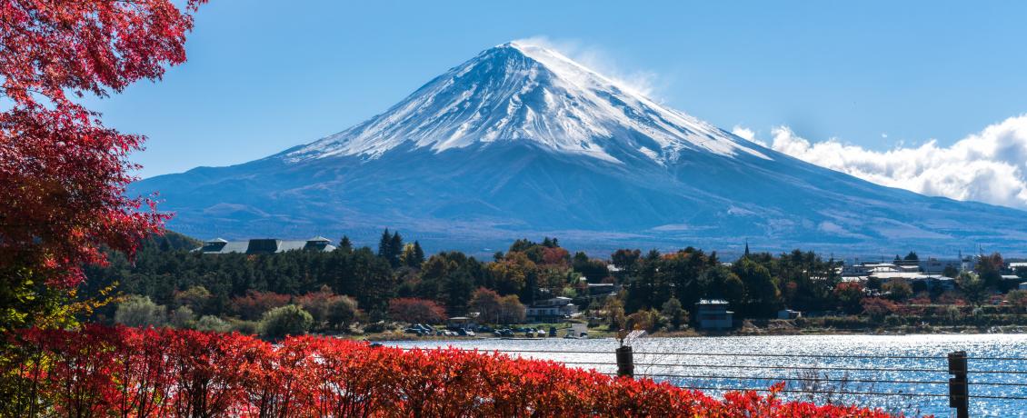 Mt. Fuji
