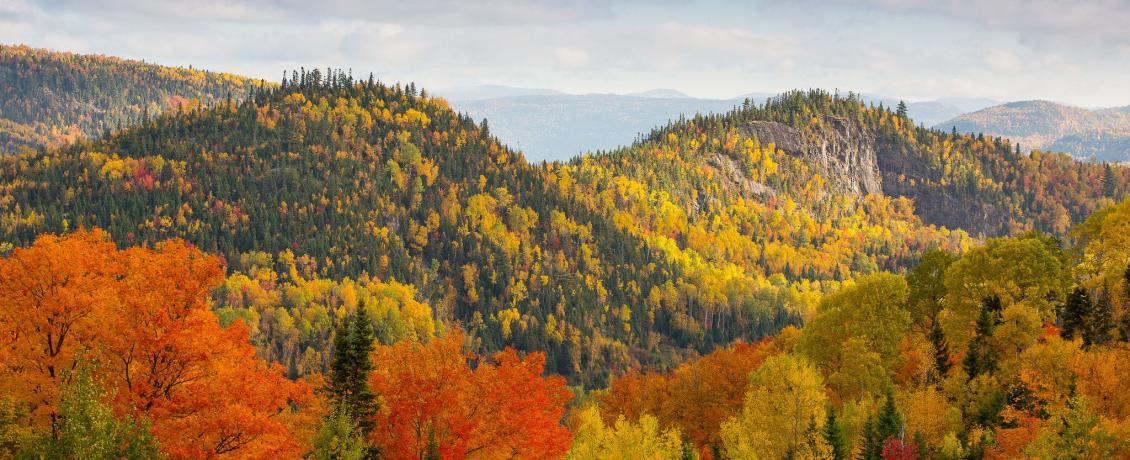 Fall foliage along the St. Lawrence River