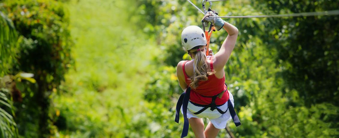 Flying above the forest canopy