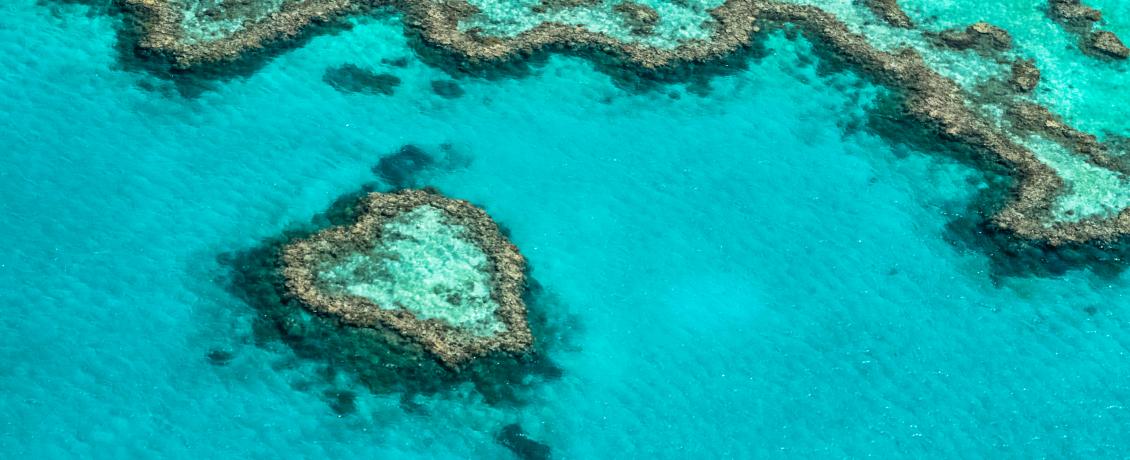 Great Barrier Reef