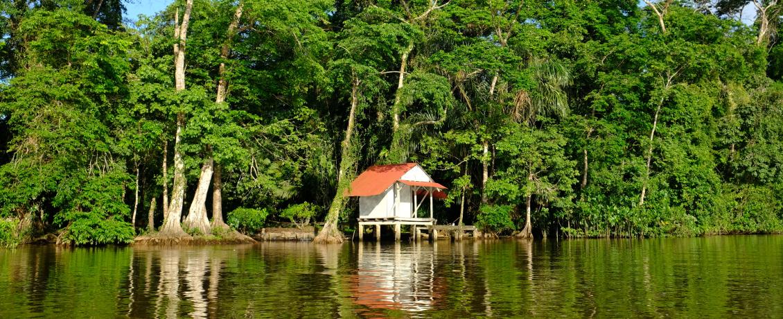 Tortuguero