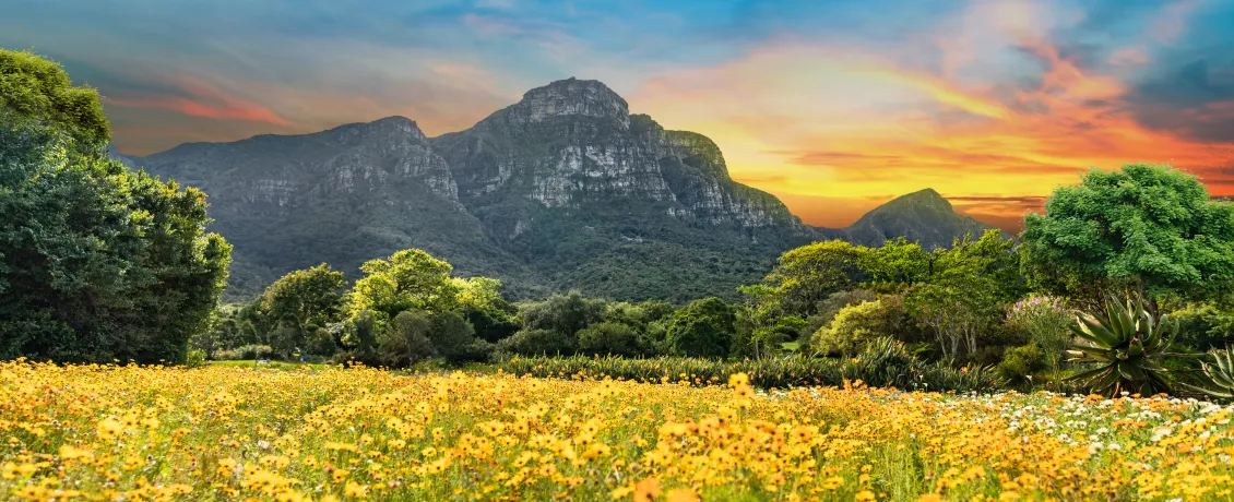  Kirstenbosch National Botanical Garden