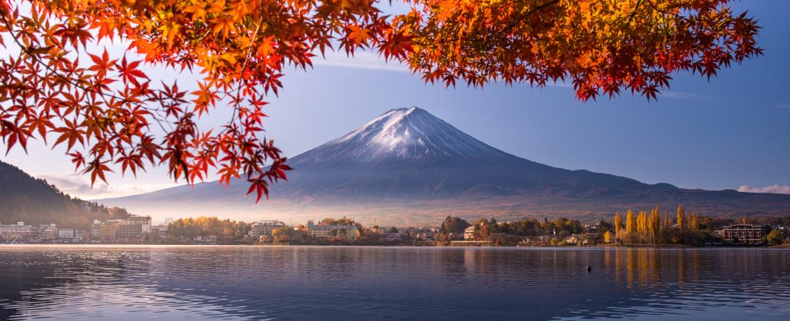 Mt. Fuji