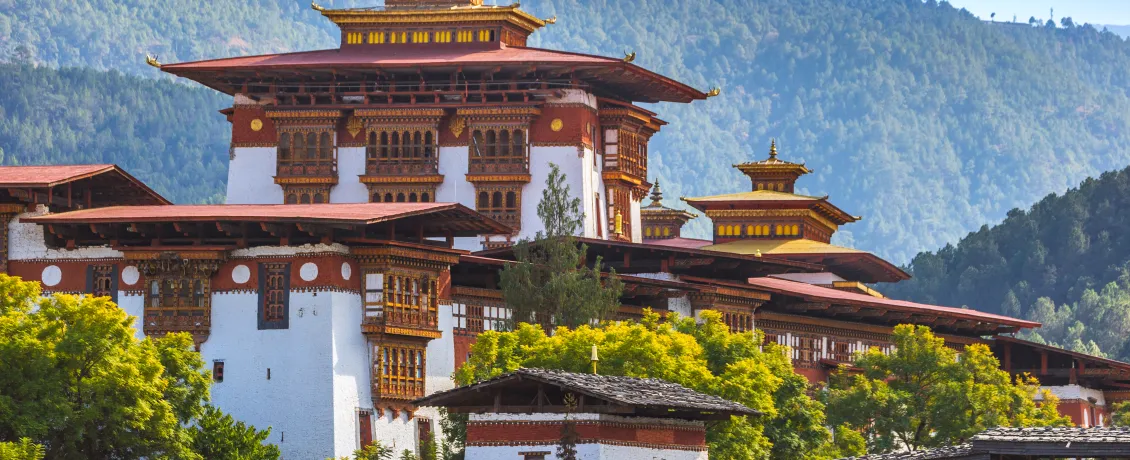 Marvel at Punakha Dzong, a majestic riverside fortress