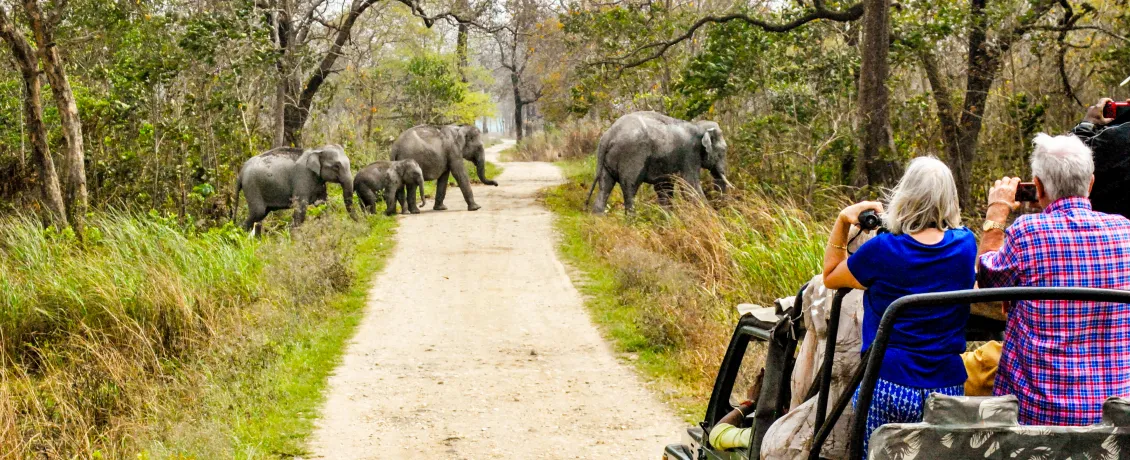 Take in the wild grasslands of Kaziranga