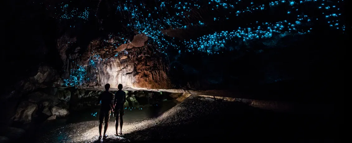 Glow worms at Waitomo Caves