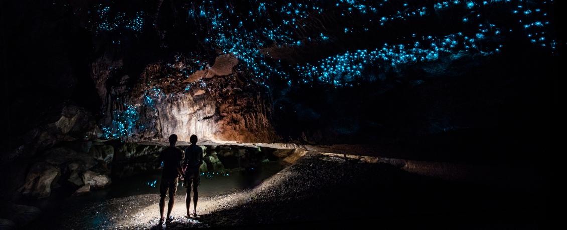 Glow worms at Waitomo Caves