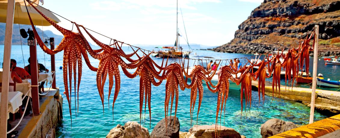 Octopus drying under the sun, a taste of the Aegean