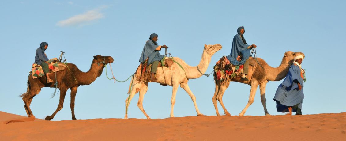 Camel caravan in Morocco