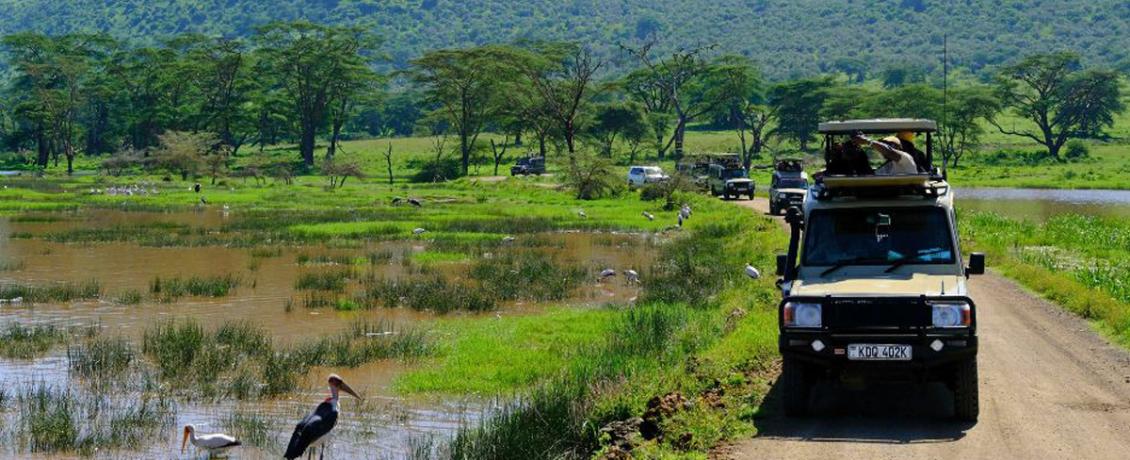 Safari adventure in Kenya's scenic landscape