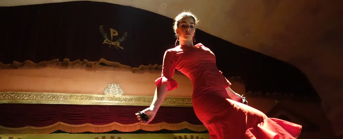 Flamenco dancer