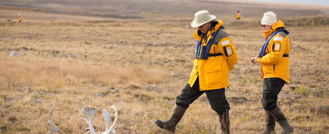 Two passengers walking on Arctic tundra near shed caribou antlers.