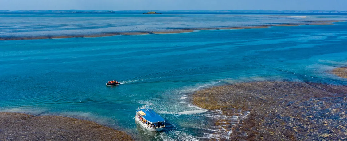 Montgomery Reef. Credit Coral Expeditions.