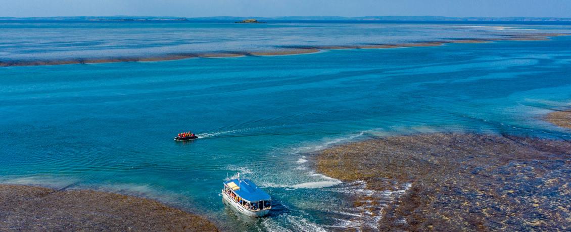 Montgomery Reef. Credit Coral Expeditions.