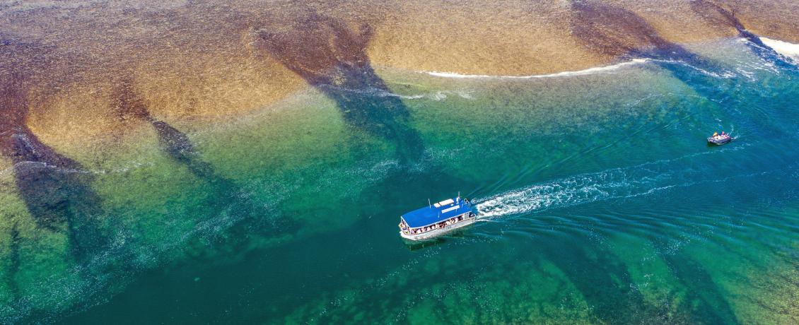 Montgomery Reef, Australia. Credit Coral Expeditions. 