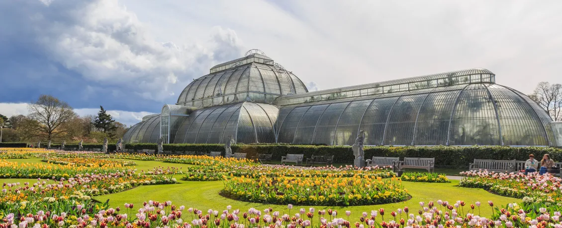 The Palm House of Kew Gardens