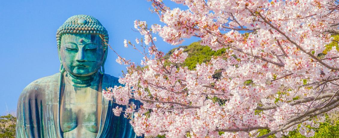 Witness the Great Buddha in Kamakura