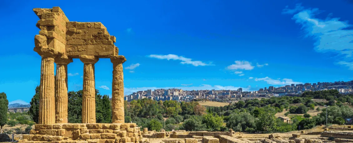 Mediterranean treasures in bloom