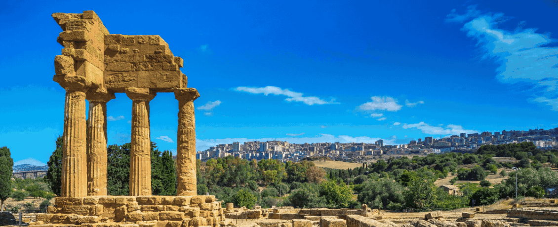 Mediterranean treasures in bloom