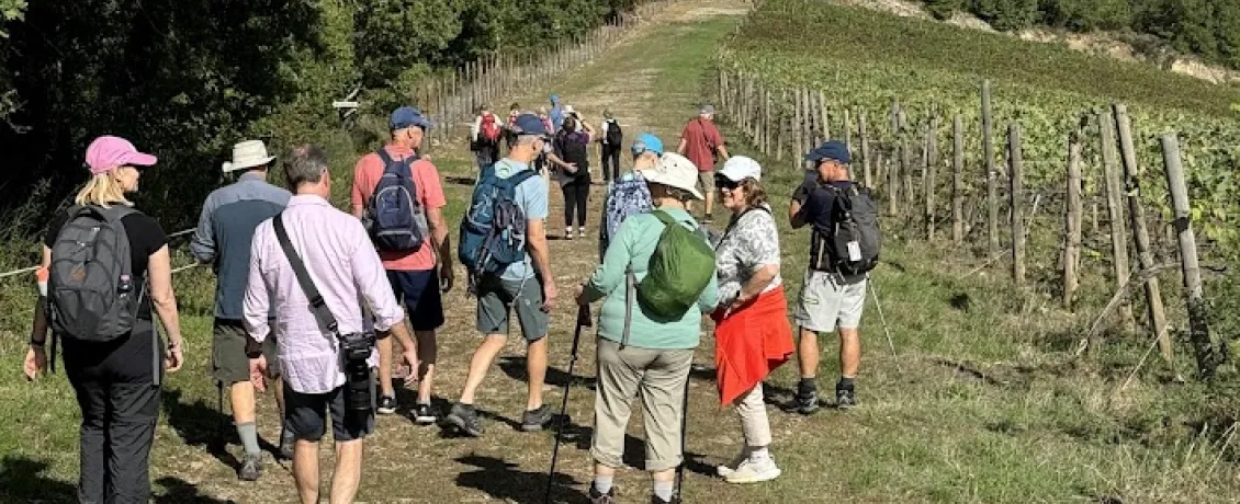 Craig Travellers walking through the Tuscan landscapes