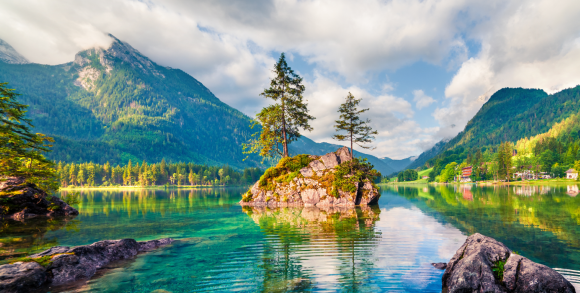 Alpine beauty