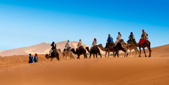 Desert camel ride, Morocco
