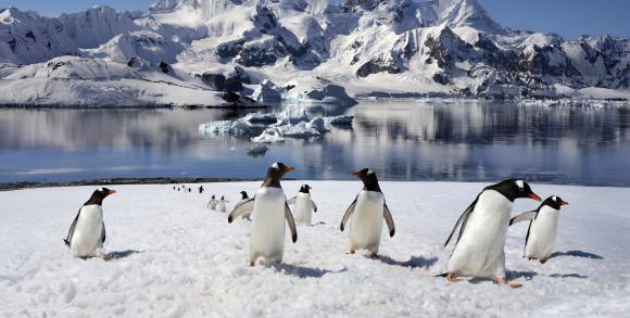 Antarctica