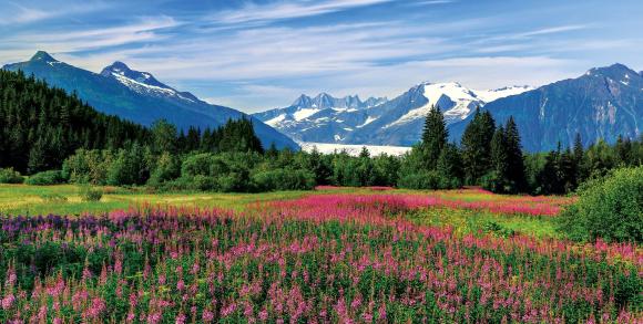 Alaska Denali