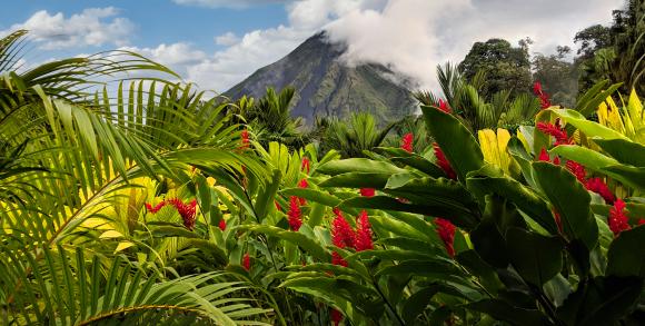 Arenal Volcano