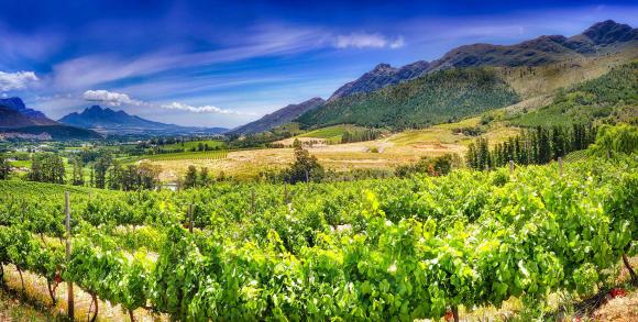 Stellenbosch