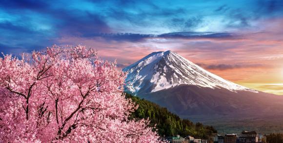 Cherry blossoms Japan